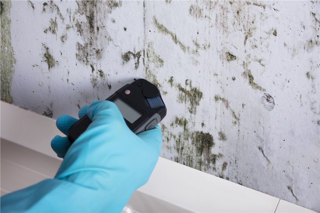 moisture test