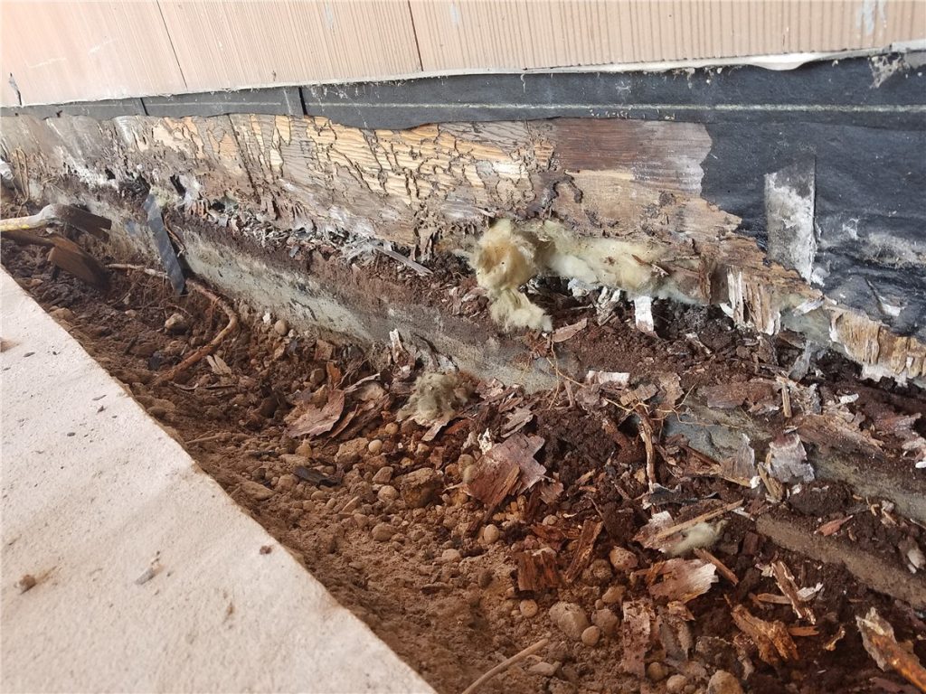 rotten beam