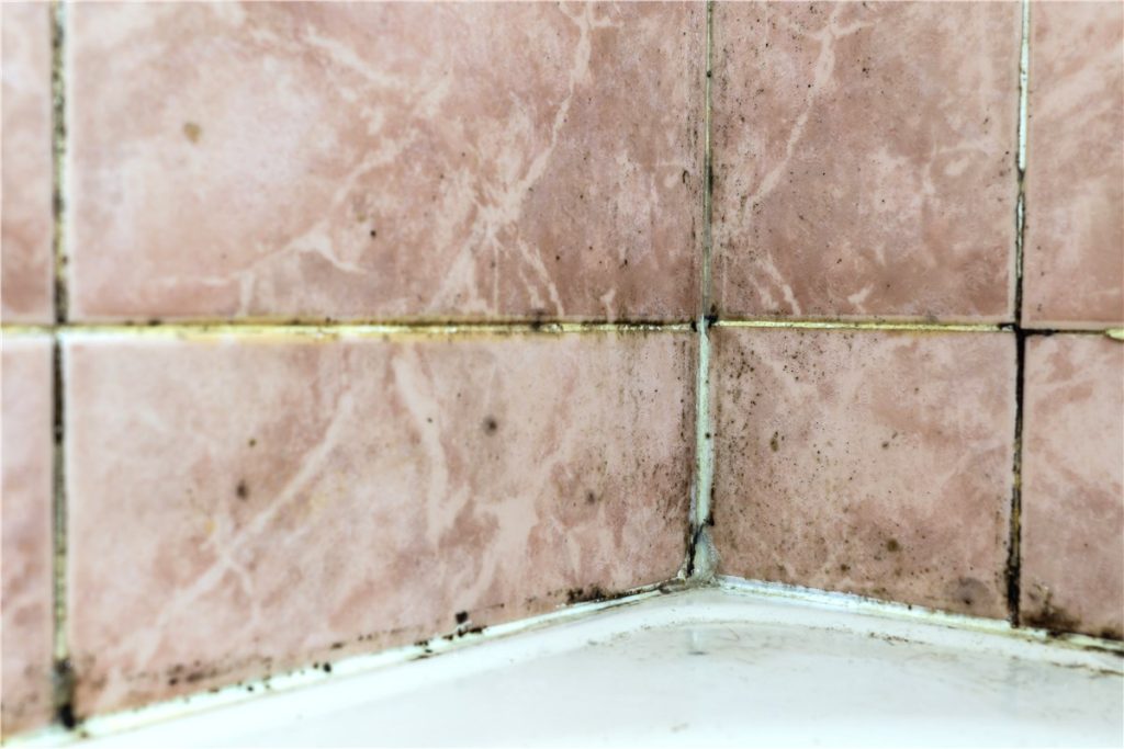 Grout and black mold in tiling - professional cleaning and remediation to restore cleanliness and safety.