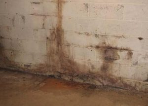 mold-in-basement-east-windsor-nj-2