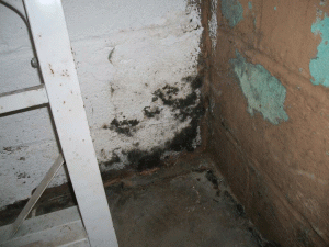 basement-waterproofing-system-staten-island-ny-basement-waterproofing-solutions-2
