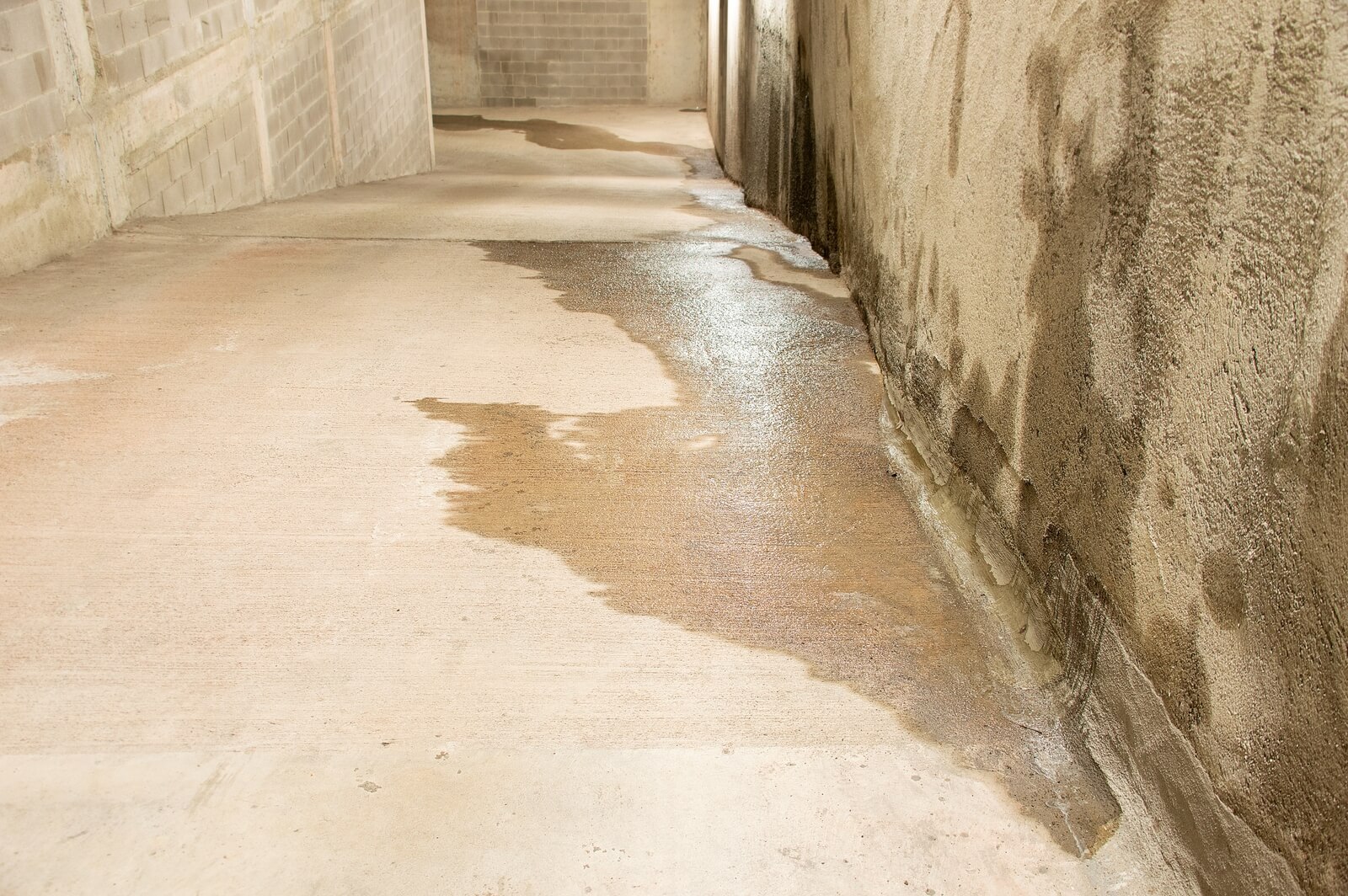 A wet basement | Buying a house with a basement